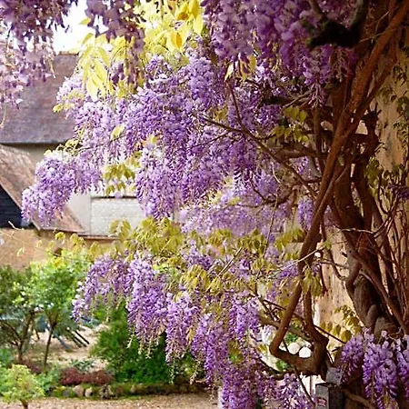 La Chaiserie Bed & Breakfast 3*