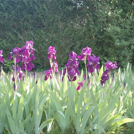 夏瑟里住宿加早餐旅馆 La Croix-Saint-Leufroy