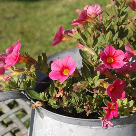 住宿加早餐酒店 夏瑟里住宿加早餐旅馆 La Croix-Saint-Leufroy
