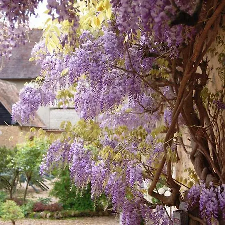 ベッド・アンド・ブレックファスト La Chaiserie 3*